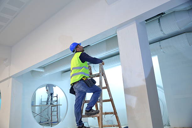 Best Attic Mold Removal  in Teague, TX