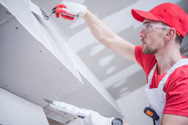 Best Basement Mold Removal  in Teague, TX